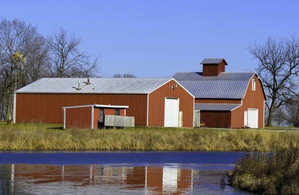 Barn Roof Repair in Hamilton