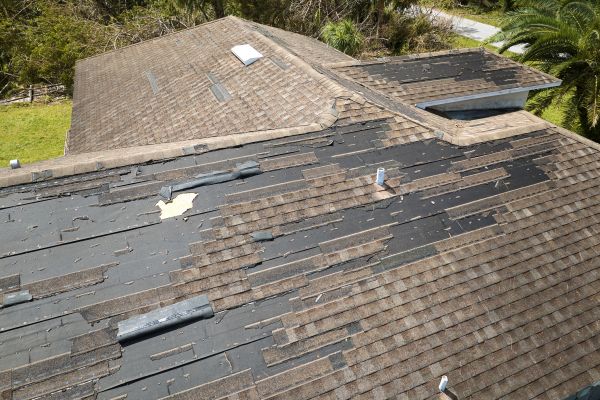 Roof Shingle Replacement in Hamilton