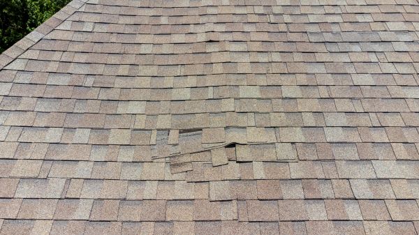 Roof Leak Inspection in Hamilton