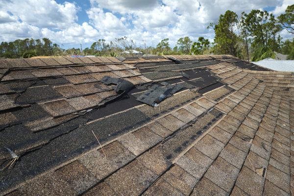Roof Damage Repair in Hamilton