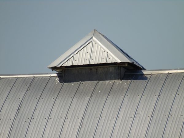 Tin Roof Installation in Hamilton