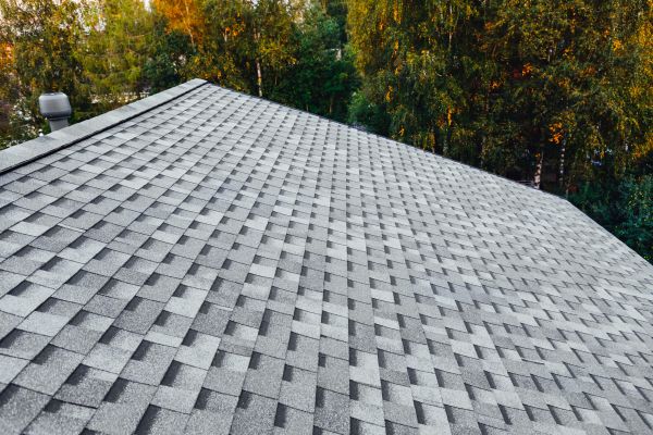 Residential Roof Replacement in Hamilton
