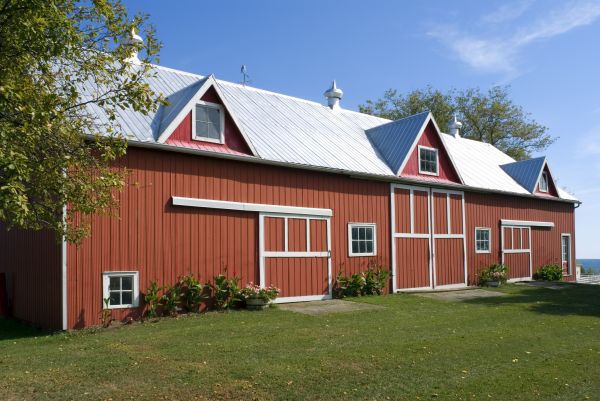 Barn Roof Replacement in Hamilton